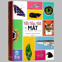 Tất Tần Tật Về Lông Vũ -145k Huy Hoàng