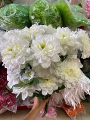 Cành thược dược 6B đỏ