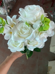 Cụm hồng 7B hồng