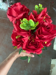 Cụm hồng 7B hồng