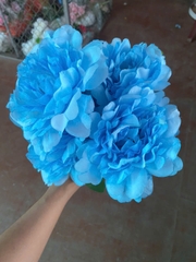 Cụm mẫu đơn nhăn 7B đỏ