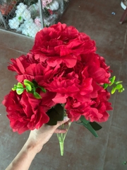 Cụm mẫu đơn nhăn 7B đỏ