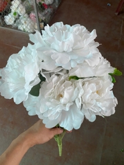 Cụm mẫu đơn nhăn 7B đỏ