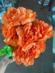 Cụm mẫu đơn nhăn 7B đỏ