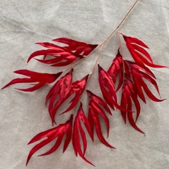 Cành lá phật thủ đỏ