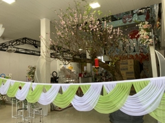 May cung nữ hoàng vải nhúng kim tuyến xanh cốm
