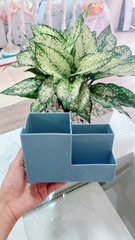 Ống cắm bút 3 ô vuông VQ1017