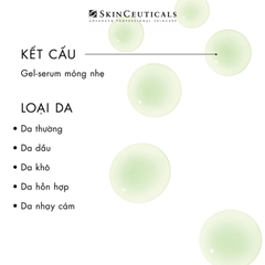 SKINCEUTICALS PHYTO CORRECTIVE / TINH CHẤT CHUYÊN BIỆT GIÚP LÀM DỊU, GIẢM KÍCH ỨNG VÀ CẤP ẨM DÀNH CHO DA DẦU, NHẠY CẢM VÀ DA TỔN THƯƠNG SAU MỤN