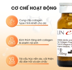 LINERASE COLLAGEN: ĐỈNH CAO TRẺ HÓA SINH HỌC CHUẨN Y KHOA TỪ CHÂU ÂU