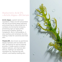 BIONNEX THE NORDEA HYALURONIC ACID 2% + ARCTIC ALGAE + B5 SERUM 30ML: Tinh Chất Cấp Ẩm Chuyên Sâu, Cho Da Căng Mịn Và Rạng Rỡ