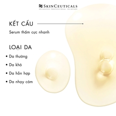 SKINCEUTICALS C E FERULIC / TINH CHẤT CHUYÊN BIỆT GIÚP BẢO VỆ DA TRƯỚC TÁC NHÂN OXY HOÁ, LÀM MỜ NẾP NHĂN, GIÚP DA TƯƠI TRẺ VÀ SĂN CHẮC