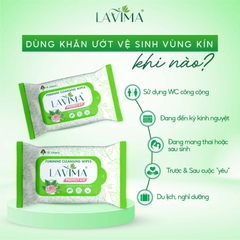 LAVIMA PROTECT 4.0 / KHĂN ƯỚT PHỤ KHOA