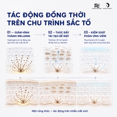 Galderma Tri-Luma Cream (15g) – Kem Trị Nám Chuyên Sâu, Làm Đều Màu Da