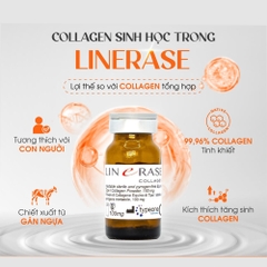 LINERASE COLLAGEN – Giải Pháp Trẻ Hóa "Cô Bé" An Toàn & Khoa Học
