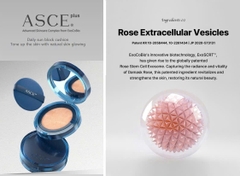 EXOCOBIO ASCE PLUS SUNSHINE CUSHION PRO: Phấn Nước Đa Năng Cho Làn Da Sáng Khỏe Rạng Rỡ & Được Bảo Vệ Toàn Diện