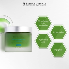 SKINCEUTICALS PHYTO CORRECTIVE MASQUE / MẶT NẠ THẢO DƯỢC CHUYÊN BIỆT GIÚP LÀM DỊU VÀ CUNG CẤP ĐỘ ẨM TÚC THÌ CHO DA