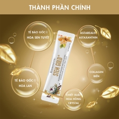KINOHIMITSU STEM GOLD 6G / BỘT UỐNG COLLAGEN CAO CẤP TĂNG SỰ ĐÀN HỒI, ẨM MỊN VÀ ĐỀU MÀU DA