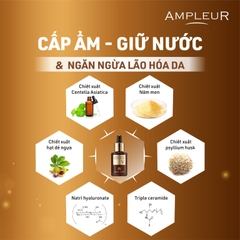 AMPLEUR LUXURY DE-AGE REJULUTION V / SERUM CHỐNG LÃO HÓA