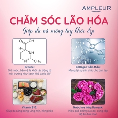 AMPLEUR LUXURY WHITE HAND CREAM / KEM DƯỠNG DA TAY