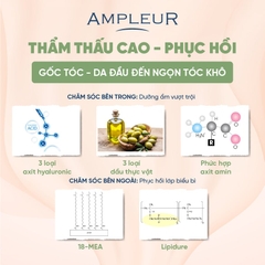AMPLEUR PREMIUM PHYTO SCALP HAIR MASK N / MẶT NẠ Ủ TÓC