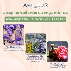 AMPLEUR PREMIUM PHYTO SCALP HAIR MASK N / MẶT NẠ Ủ TÓC