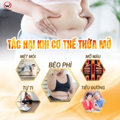 WAKENKO NICE BODY EX 60 VIÊN / VIÊN UỐNG GIẢM MỠ BỤNG LỢI KHUẨN GỪNG ĐEN 