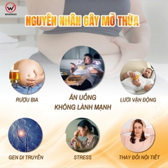 WAKENKO NICE BODY EX 60 VIÊN / VIÊN UỐNG GIẢM MỠ BỤNG LỢI KHUẨN GỪNG ĐEN 