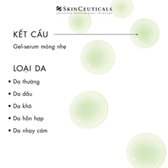 SKINCEUTICALS PHYTO CORRECTIVE GEL: Tinh Chất Dưỡng Ẩm & Làm Dịu Chuyên Sâu Cho Da Nhạy Cảm & Da Mụn