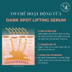 VI DERM DARK SPOT LIFTING SERUM: Tinh Chất Làm Mờ Thâm Nám, Dưỡng Da Sáng & Đều Màu