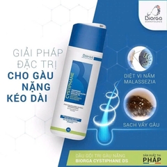 Bailleul Cystiphane Shampooing Antichute: Dầu Gội Ngăn Rụng Tóc Chuyên Biệt Từ Pháp
