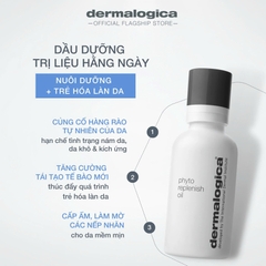 DERMALOGICA PHYTO REPLENISH OIL: Tinh Dầu Phục Hồi & Chống Lão Hóa, Cho Làn Da Căng Mọng, Rạng Rỡ