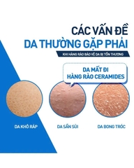 CERAVE MOISTURISING CREAM: Kem Dưỡng Ẩm Toàn Thân Chuyên Sâu, Phục Hồi & Bảo Vệ Da Khô Đến Rất Khô