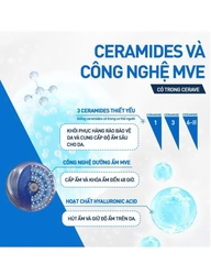 CERAVE MOISTURISING CREAM: Kem Dưỡng Ẩm Toàn Thân Chuyên Sâu, Phục Hồi & Bảo Vệ Da Khô Đến Rất Khô