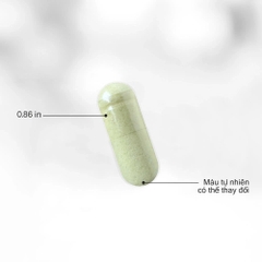 Codeage Liposomal Vitamin C+: Công Nghệ Bọc Liposome Tối Ưu Hấp Thụ & Trắng Da