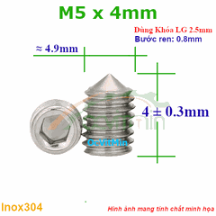 Vít Trí Đuôi Nhọn M5x4mm Inox304 - Vit Tri Duoi Nhon