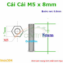 Trụ Inox304 Cái Cái Lục Giác M5x8mm - Tru Cai Cai