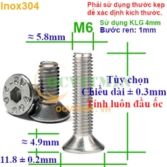 Ốc Lục Giác Đầu Bằng M6 Inox 304