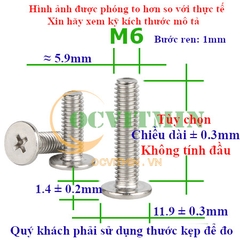 Ốc Bake Đầu Dẹp Mỏng M6 Inox 304