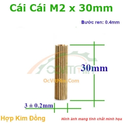 Trụ Đồng Cái Cái M2x30mm - Tru Dong Cai Cai