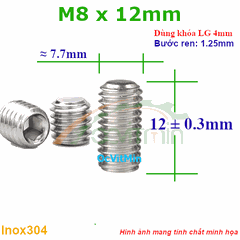 Vít Trí Đuôi Bằng M8x12mm Inox304 - Vit Tri Duoi Bang