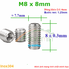 Vít Trí Đuôi Bằng M8x8mm Inox304 - Vit Tri Duoi Bang