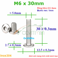 Ốc Lục Giác Đầu Dẹt Tròn M6x30mm Inox304 - Oc Luc Giac Dau Det Tron
