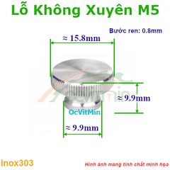 Đai Ốc Lỗ Không Xuyên M5 Núm Vặn - Dai Oc Lo Khong Xuyen Ecu Num Van
