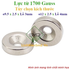 Nam Châm Đất Hiếm Tròn Có Lỗ Lực Hút 1700 Gauss