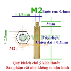 Trụ Đồng Lục Giác Đực Cái, Cái Cái M2