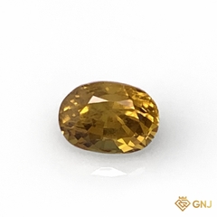 Đá sapphire vàng mật ong tự nhiên 0,65ct - GNJ