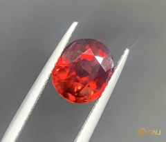 Viên Đá Garnet Tự Nhiên 2.85ct — Facet - GNJ