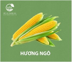 Hương Ngô