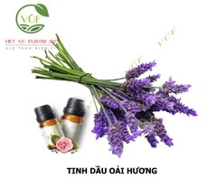 Tinh Dầu Hoa Oải Hương