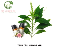 Tinh Dầu Hương Nhu